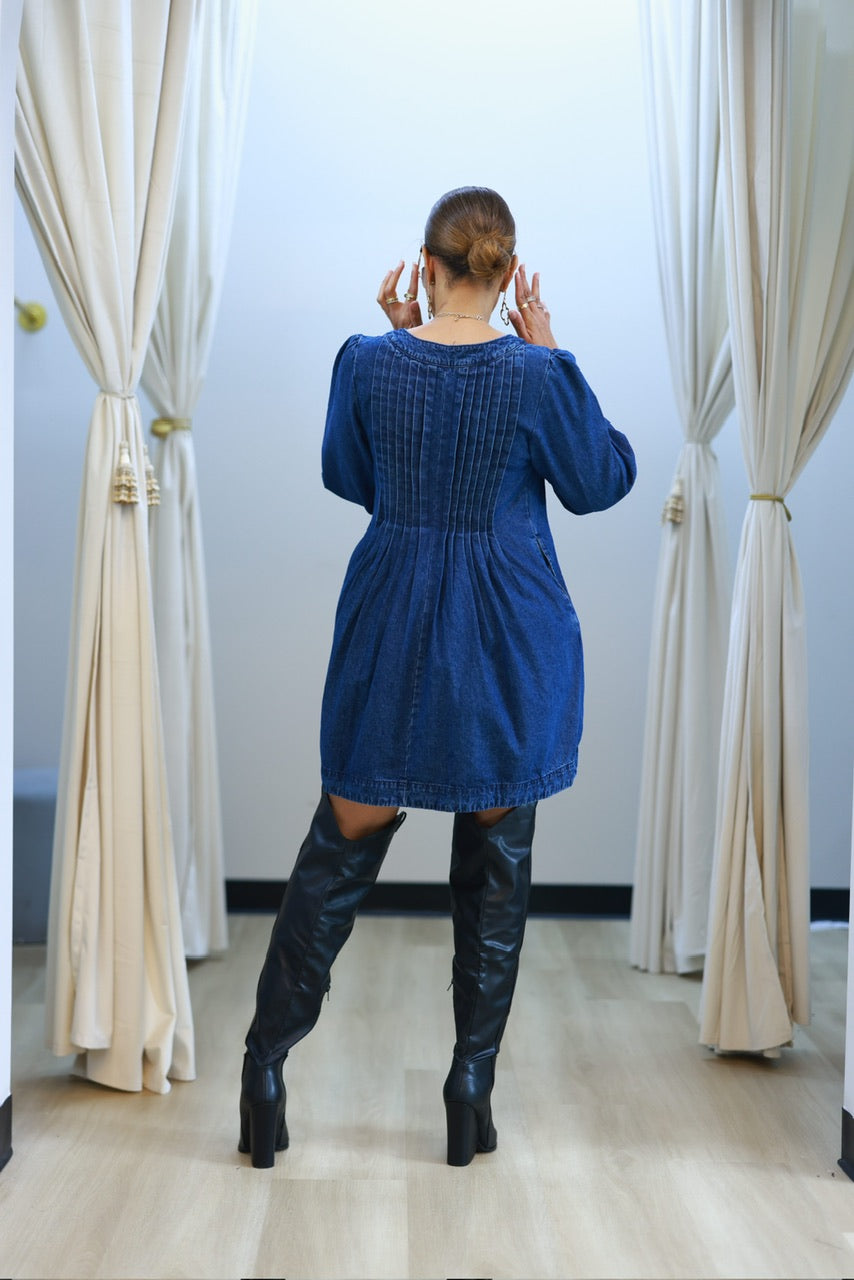 Maddy Denim Dress (F)